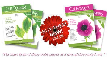 Click to Buy both books now ...