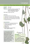 Click for a sample