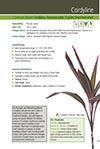 Click for a sample