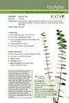 Click for a sample