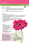 Click for a sample