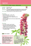 Click for a sample