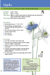 Click for a sample